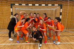 Bacs-megyei-futsal-felnott-kupa-aranyerem